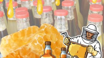 Perbedaan Madu Manuka, Madu Hitam, dan Clover Honey
